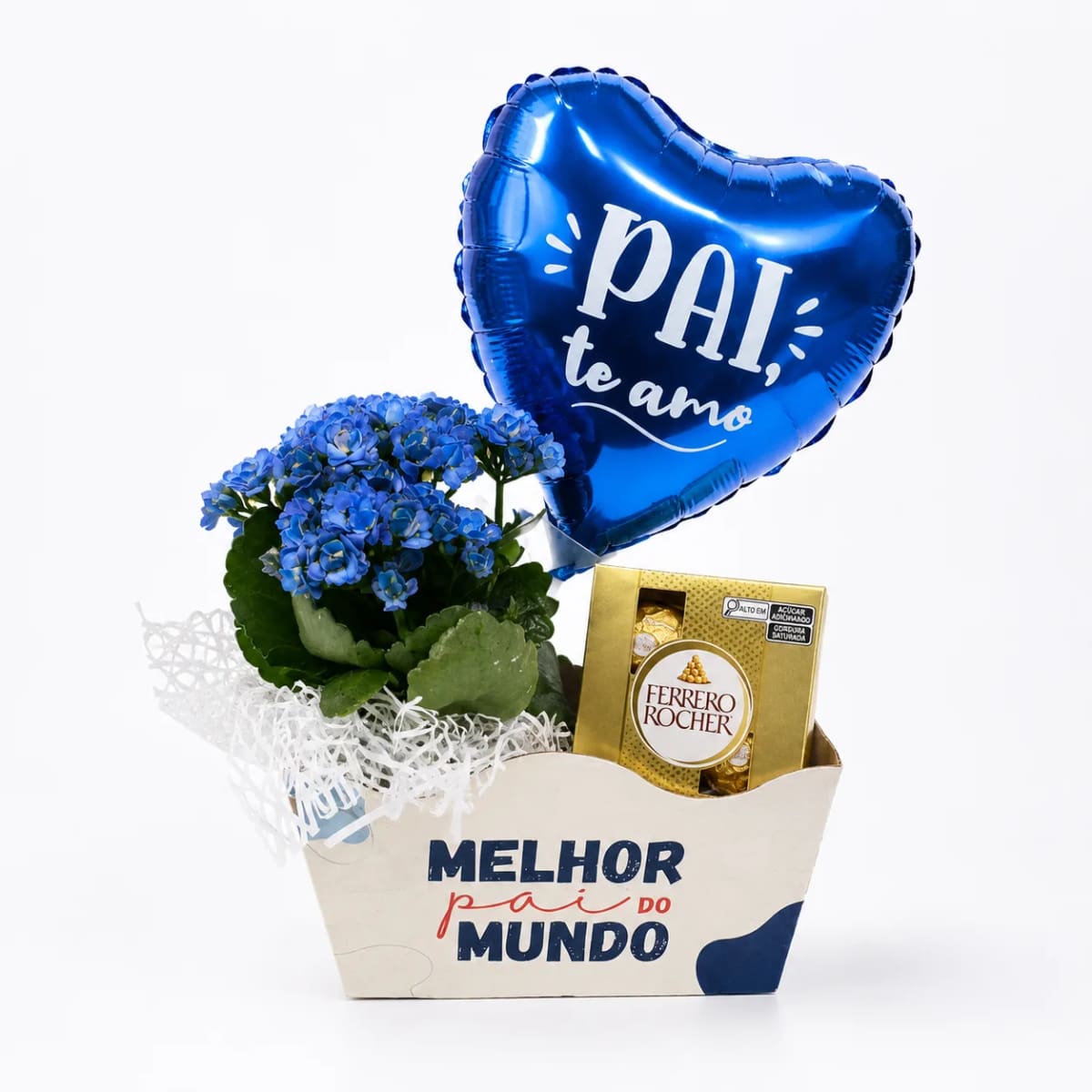 Box Melhor Pai do Mundo com Kalanchoe Azul e Ferrero Rocher e Balão