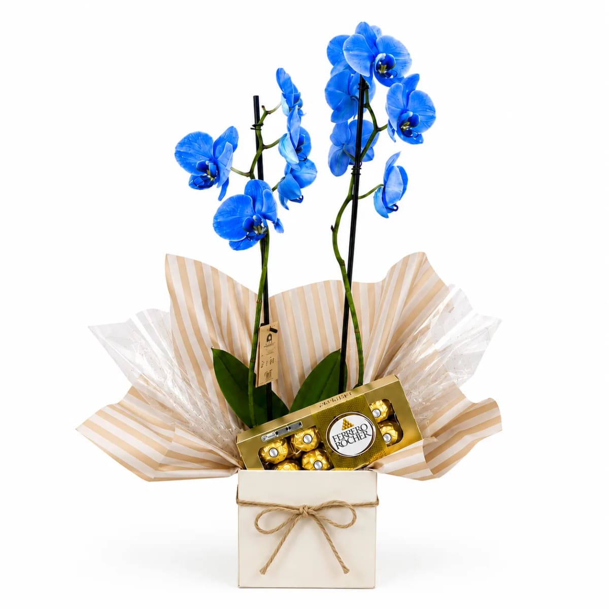Cachepo Com Orquídea Phalaenopsis e Ferrero Rocher