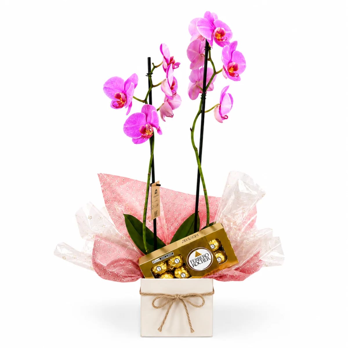 Cachepo Com Orquídea Phalaenopsis e Ferrero Rocher