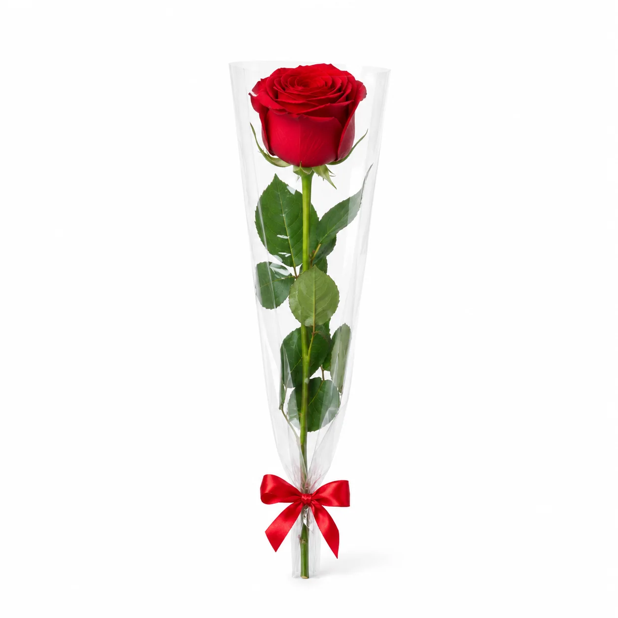 Rosa Solitária