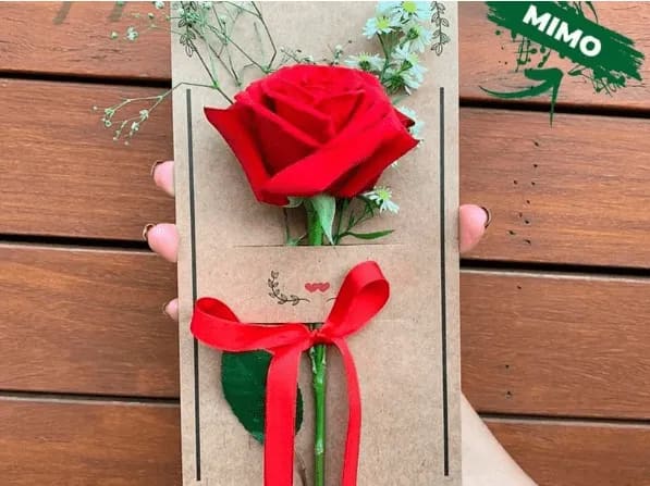 Flor Mimo Rosa Vermelha